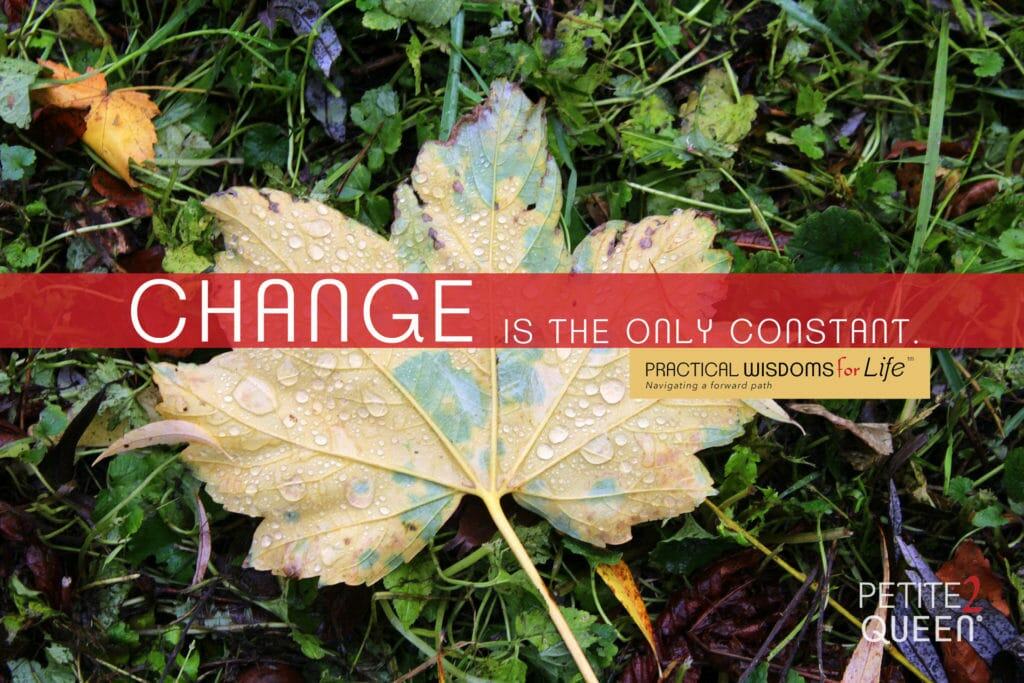 Change Is The Only Constant