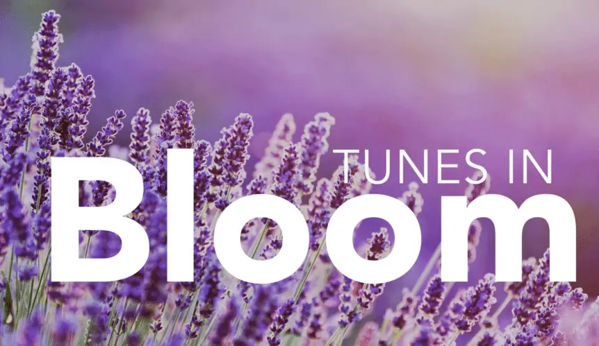 April 2018 - Tunes In Bloom