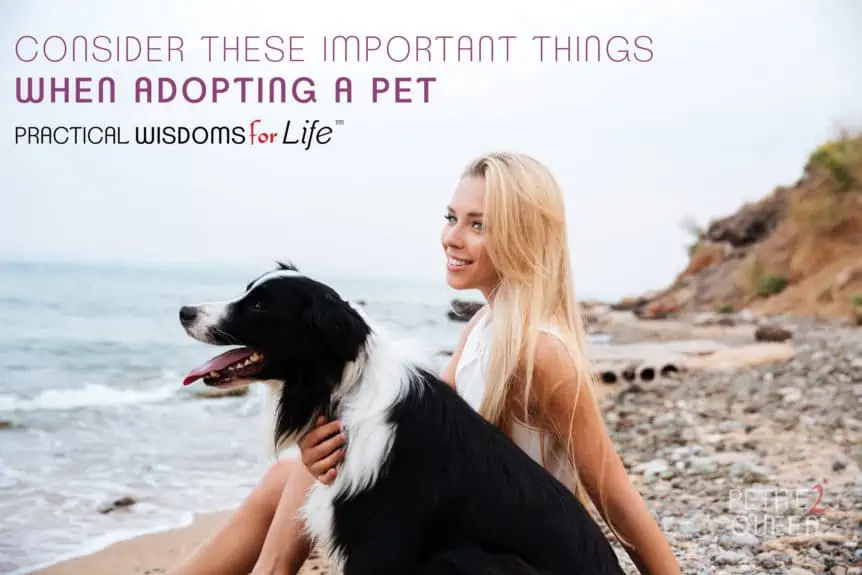Consider These Important Things When Adopting a New Pet